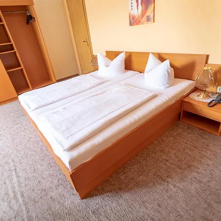 ホテル Parkhotel Pretzsch 3*