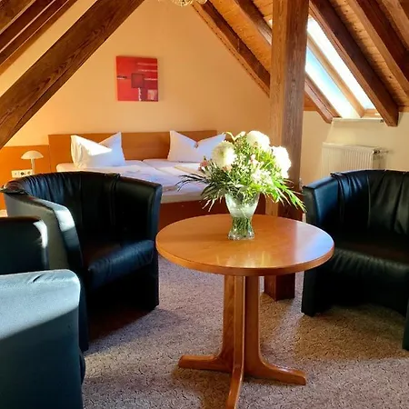 Parkhotel Pretzsch 3*