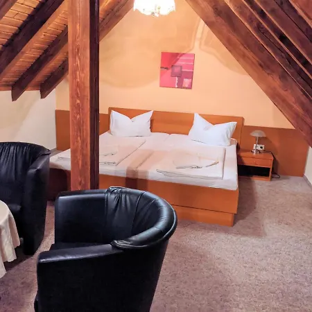 Otel Parkhotel Pretzsch