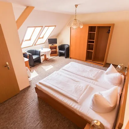 Parkhotel Pretzsch 3*