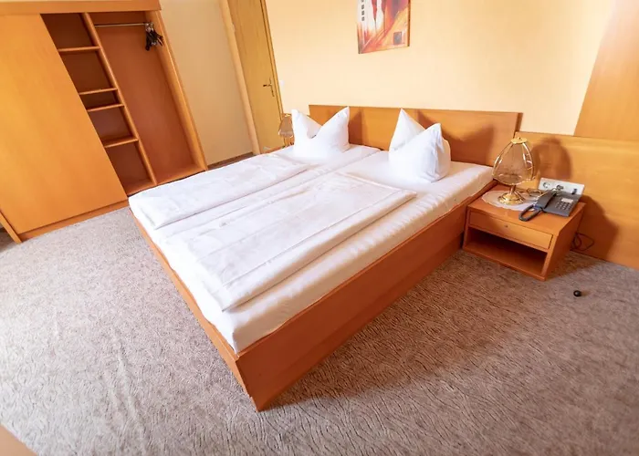 Hotel Parkhotel Pretzsch 3*