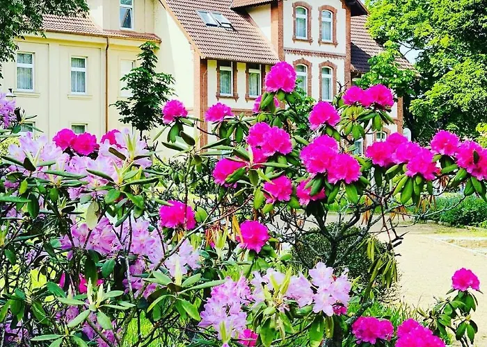 Hotel Parkhotel Pretzsch 3*