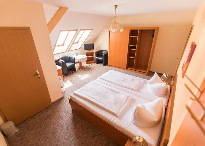 Parkhotel Pretzsch 3*