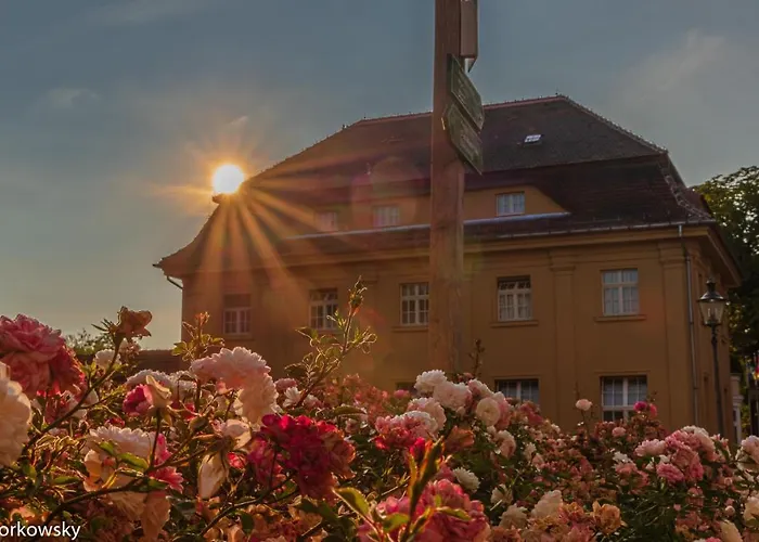 Szálloda Parkhotel Pretzsch Bad Schmiedeberg
